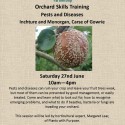 Orchard Skills Training: Pests and Diseases 27th June