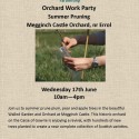 Summer Pruning, 17th June, Megginch Castle