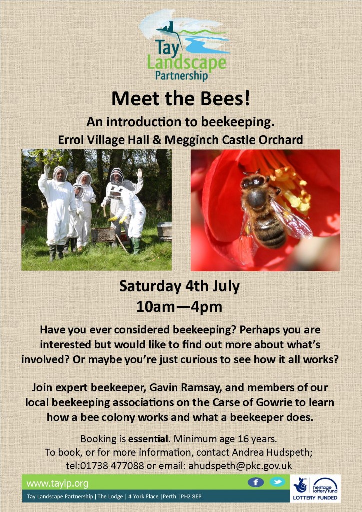 Meet the Bees 04.07.2015