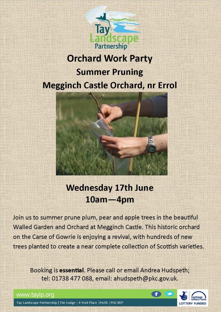 Summer Pruning, Megginch, 17_06_15