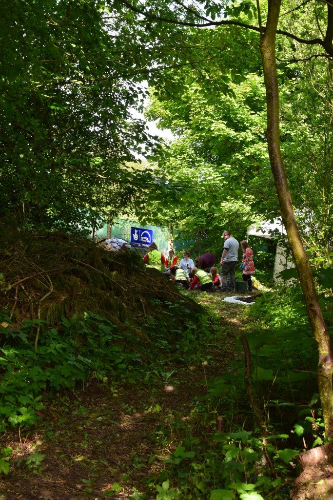 Secret Dig on Deads Lane